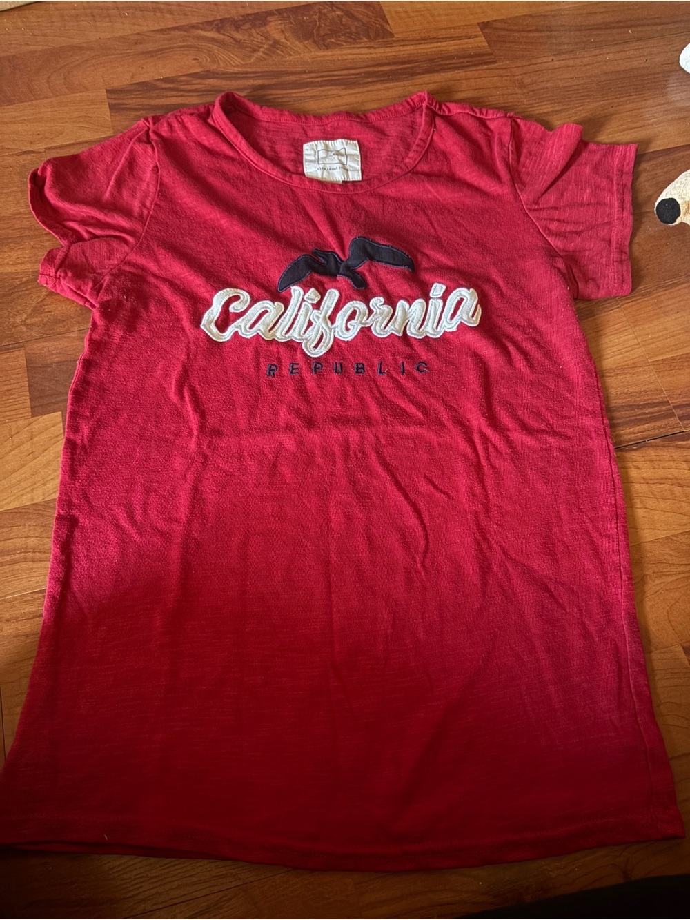 Hollister Red California Graphic Tee with Navy Detail